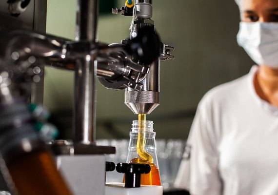 IBGE: Nordeste apresenta expansão acima da média do país