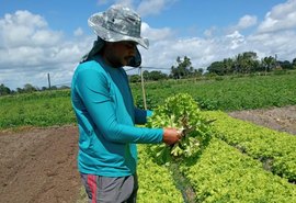 Estudo apoiado pelo Governo de Alagoas visa reduzir a dependência de importações agrícolas