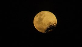 Primeira superlua de 2026 é observada no céu do Brasil neste sábado