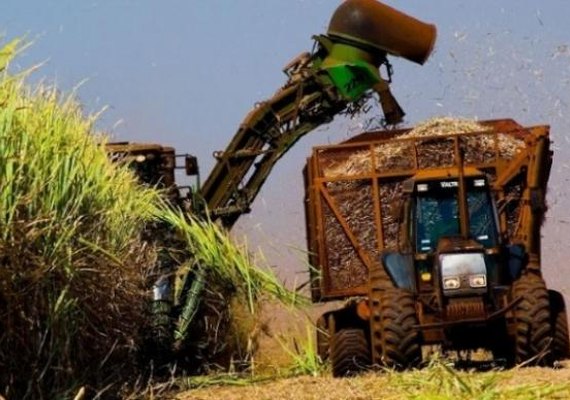 Pedro Robério destaca empenho do setor na safra 20/21