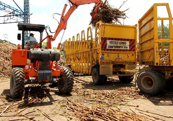 Safra de cana 2019/2020 em Alagoas cresce 9,4%