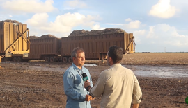 Alagoas Rural ultrapassa 37 mil views com matéria sobre Usina Marituba