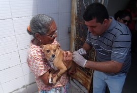 Campanha de vacinação antirrábica começa dia 24