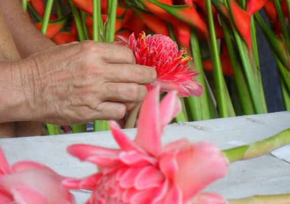 Curso ensina técnicas e manuseio de flores tropicais