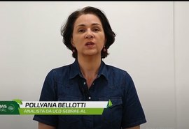 Resultados da Avicultura trabalhados no Programa Agronordeste são apresentados