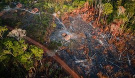 Aprovada proposta que permite derrubada de mata nativa para obras de irrigação no campo