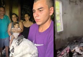 Coelha acorda família durante incêndio e salva bebê de 9 meses em Manaus