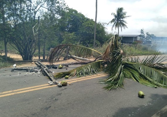 Forte ventania derruba poste e causa incêndio em vegetação na AL-220