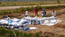 Coobapi estimula rizicultura na agricultura familiar em Igreja Nova