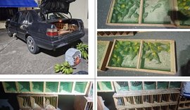 Com ajuda do MPAL, maior traficante de aves silvestres do país é preso