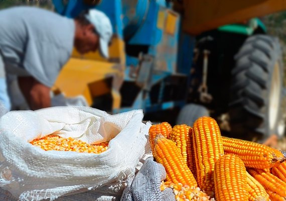 Produtores rurais do Programa de Vendas em Balcão são fiscalizados em AL