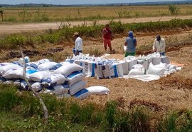 Coobapi estimula rizicultura na agricultura familiar em Igreja Nova