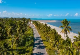 Menina de 10 anos sofre afundamento de crânio após ser atingida por coco, em AL