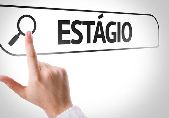Seris abre seleção para estagiários de 12 cursos diferentes