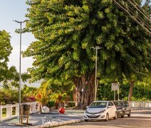 Rota dos Mirantes fortalece o turismo histórico e preserva a memória de Maceió