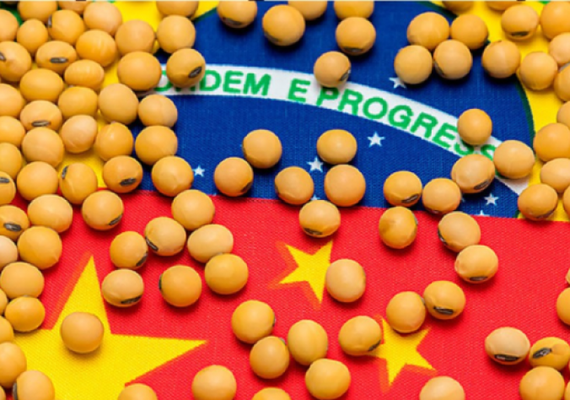 Brasil e China discutem inspeção da soja após queda nas negociações