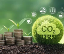 Mercado de carbono: como as cooperativas fazem parte dessa estratégia climática?