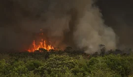 Incêndios podem ter afetado mais de 11 milhões de pessoas no Brasil