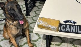 PM apreende meio quilo de maconha em casa abandonada em Arapiraca