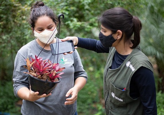Senar abre seleção para cursos técnicos em agronegócio, fruticultura e zootecnia
