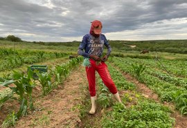 Iteral entrega títulos de terra a agricultores familiares de Delmiro Gouveia