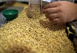 Depois do arroz, governo estuda agora reduzir imposto de soja importada