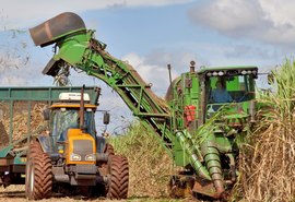 Asplana aposta em chuvas para alcançar meta de 18 milhões de toneladas de cana processadas