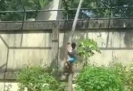 Homem morre após entrar em jaula e ser atacado por leoa em zoológico de João Pessoa