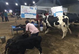Expo Bacia Leiteira fortalece a pecuária de AL