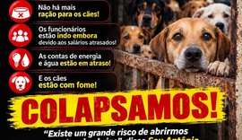 Abrigo São Cão enfrenta falta de ração e pede ajuda para manter animais