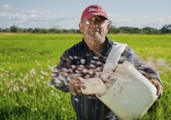 Cooperativas fortalecem o acesso ao seguro rural no Brasil